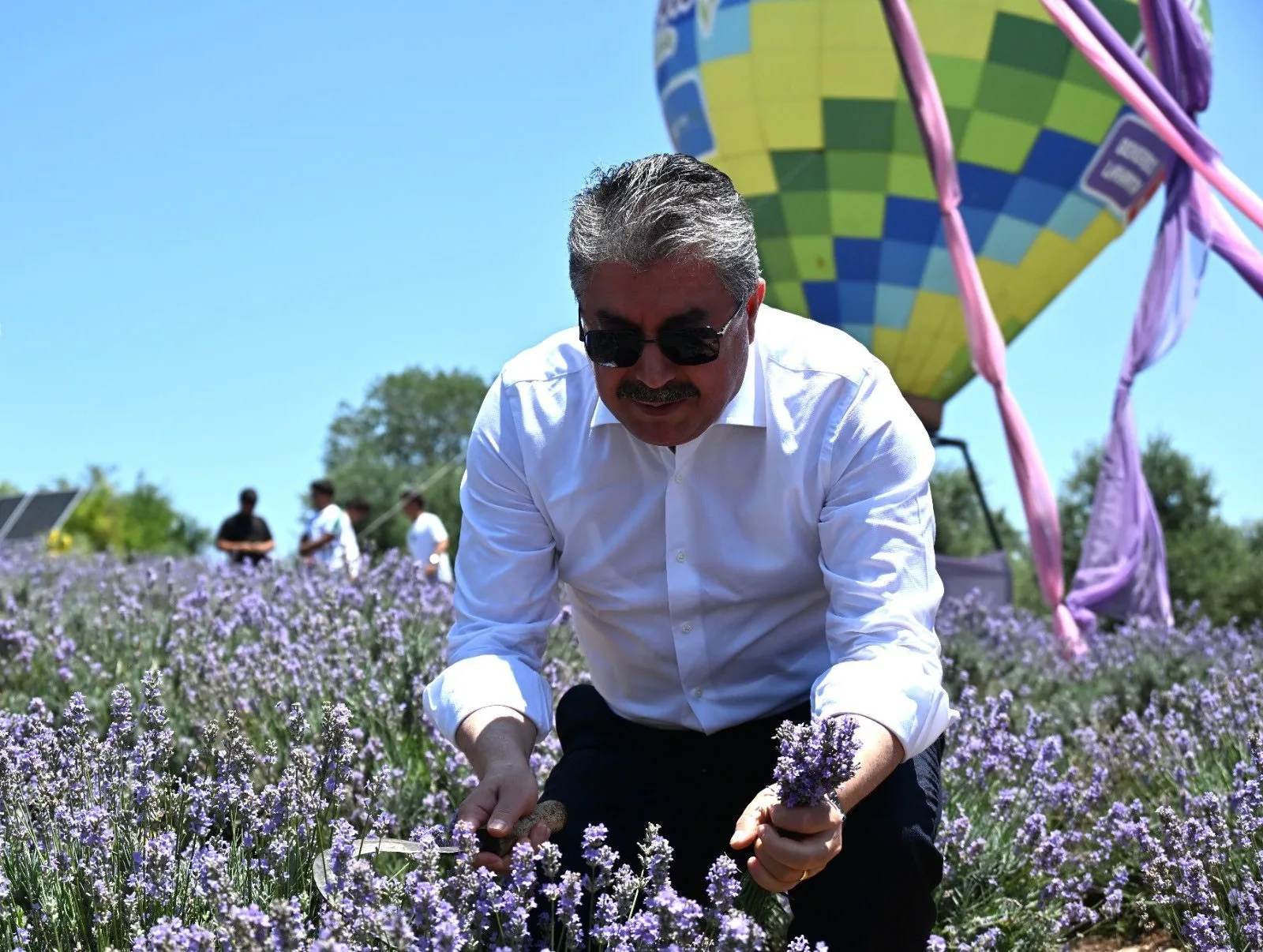 Kadirli’de Lavanta Hasadı Ve Festival Coşkusu
