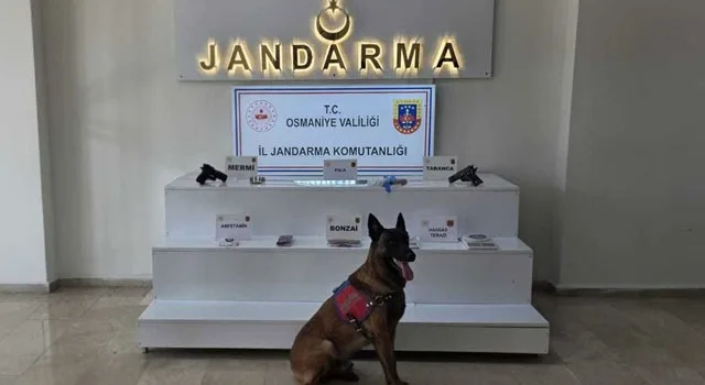 Osmaniye’de 1 Haftada 123 Şüpheli Yakalandı
