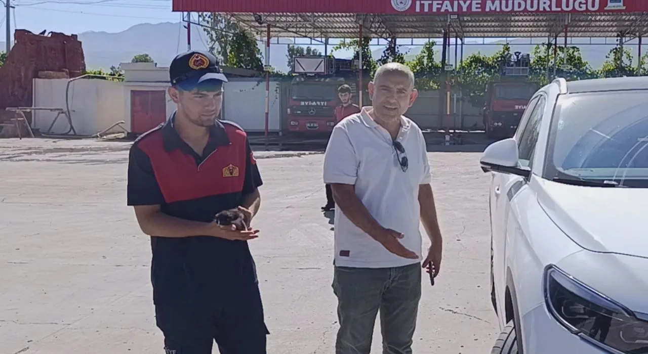Osmaniye’de Motor Bölümünden 5 Kedi Kurtarıldı