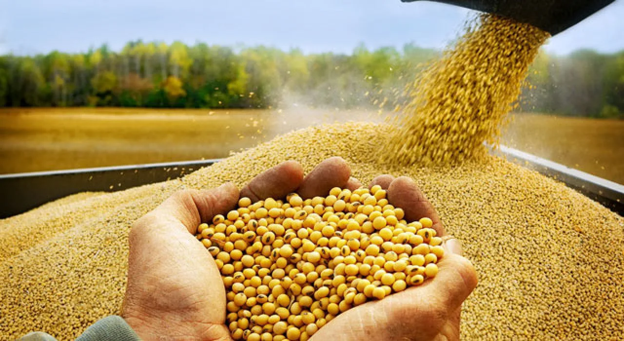 Osmaniyeli Çiftçiye Soya İçin Ek Destek Osmaniyeli Çiftçiye Soya İçin Ek Destek