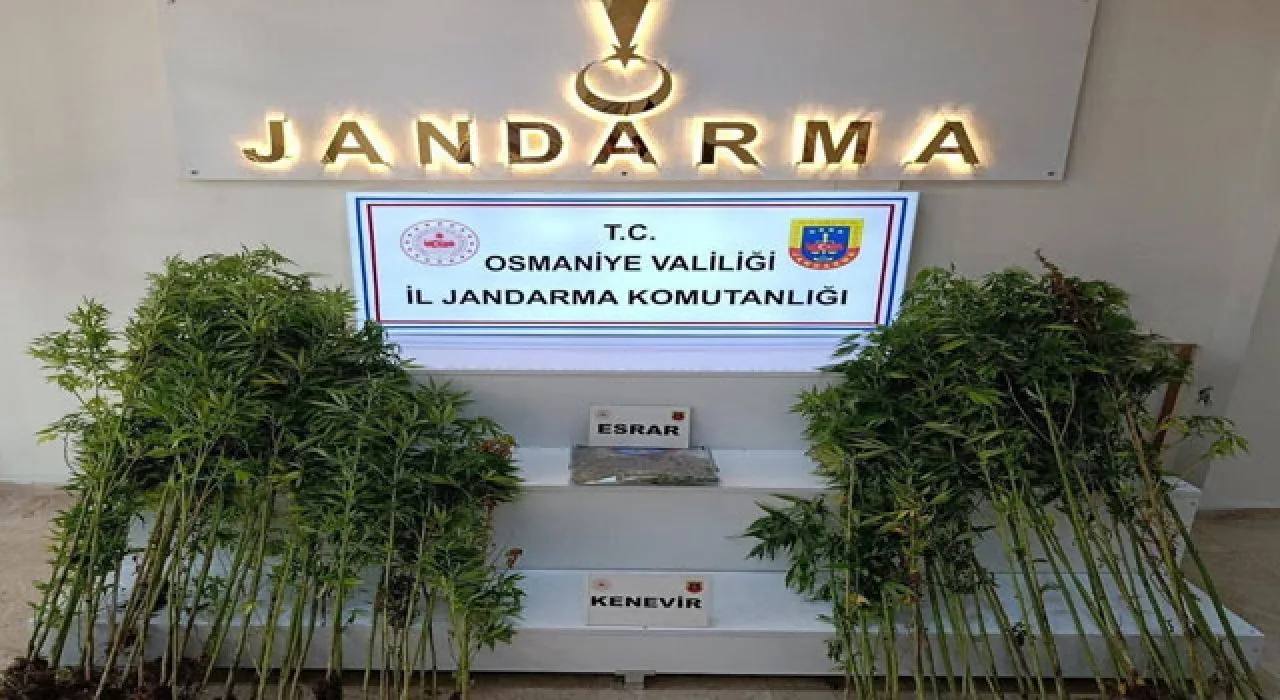 Osmaniye Jandarmasından 1 Haftada Büyük Operasyon