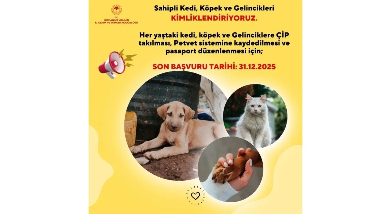 Osmaniye’de Evcil Hayvanlara Mikroçip Zorunlu