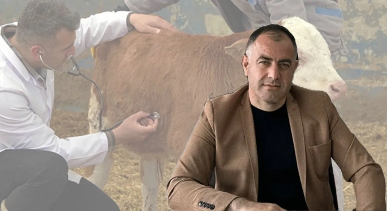 Osmaniye’de Büyükbaş Hayvanlarda 3 Gün Hastalığı Osmaniye’de Büyükbaş Hayvanlarda 3 Gün Hastalığı