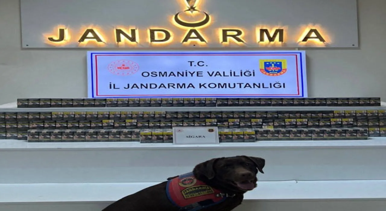 Osmaniye Jandarması Bir Haftada 170 Şüpheli Yakaladı