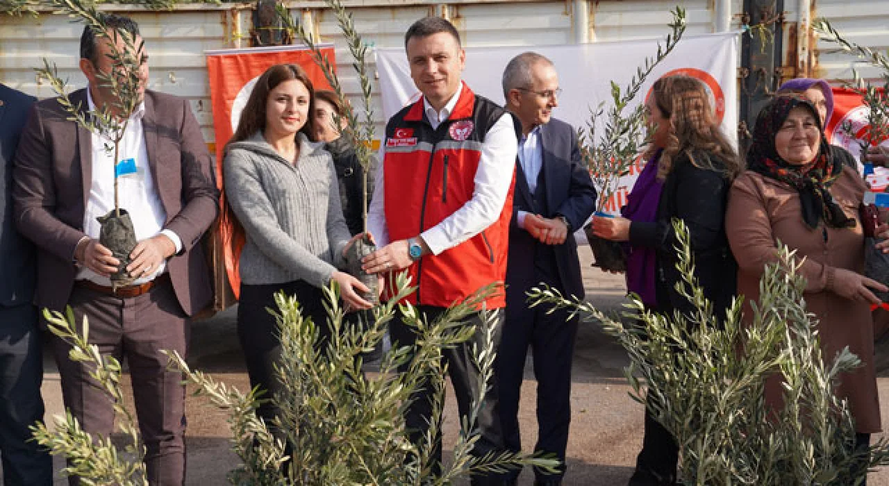 Osmaniye’de 114 Bin Zeytin Fidanı Dağıtıldı