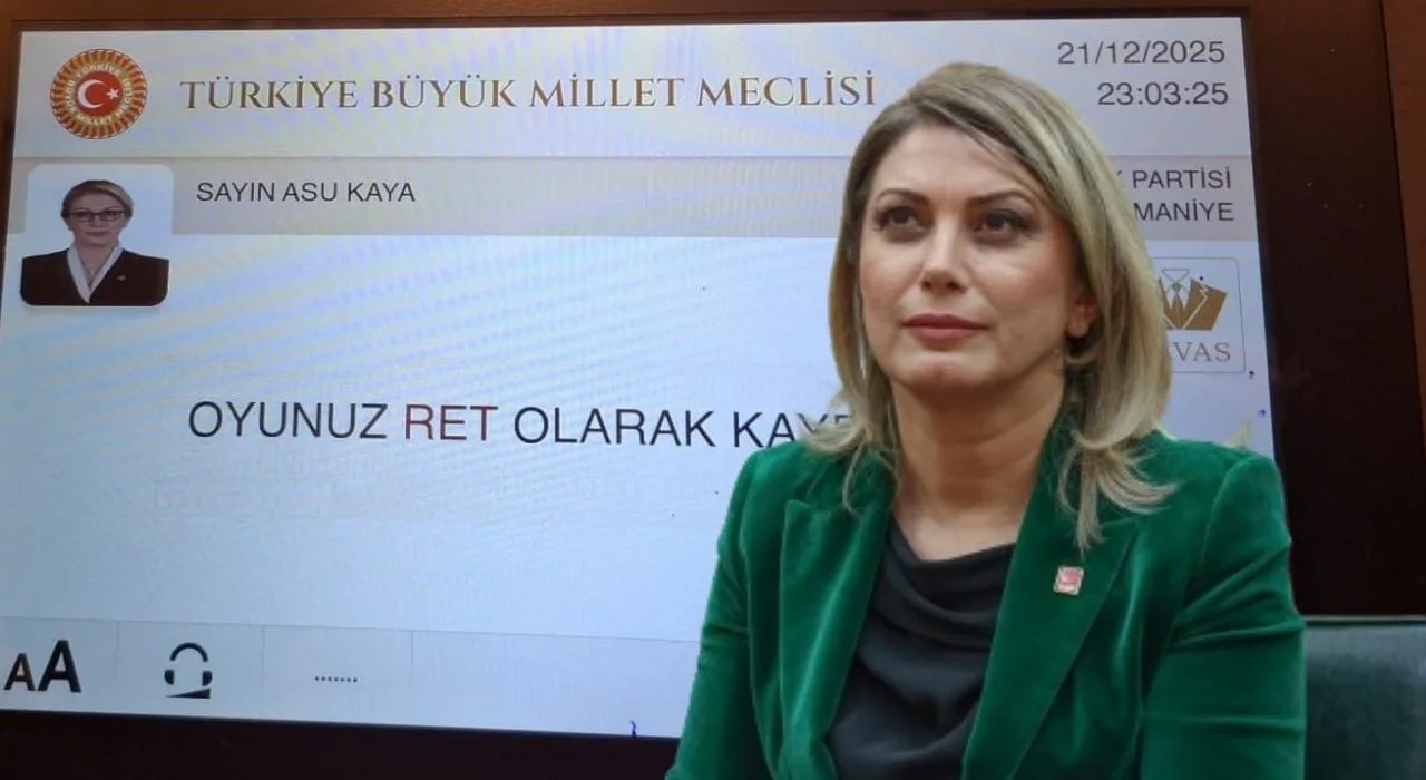 Asu Kaya: Sarayın Bütçesine Oyumuz Ret