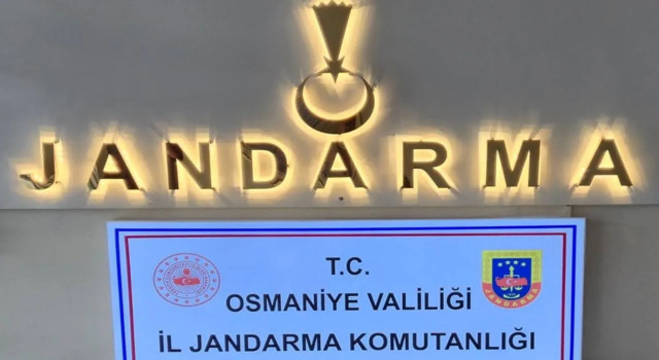 Osmaniye’de Dolandırıcılık Hükümlüsü Yakalandı