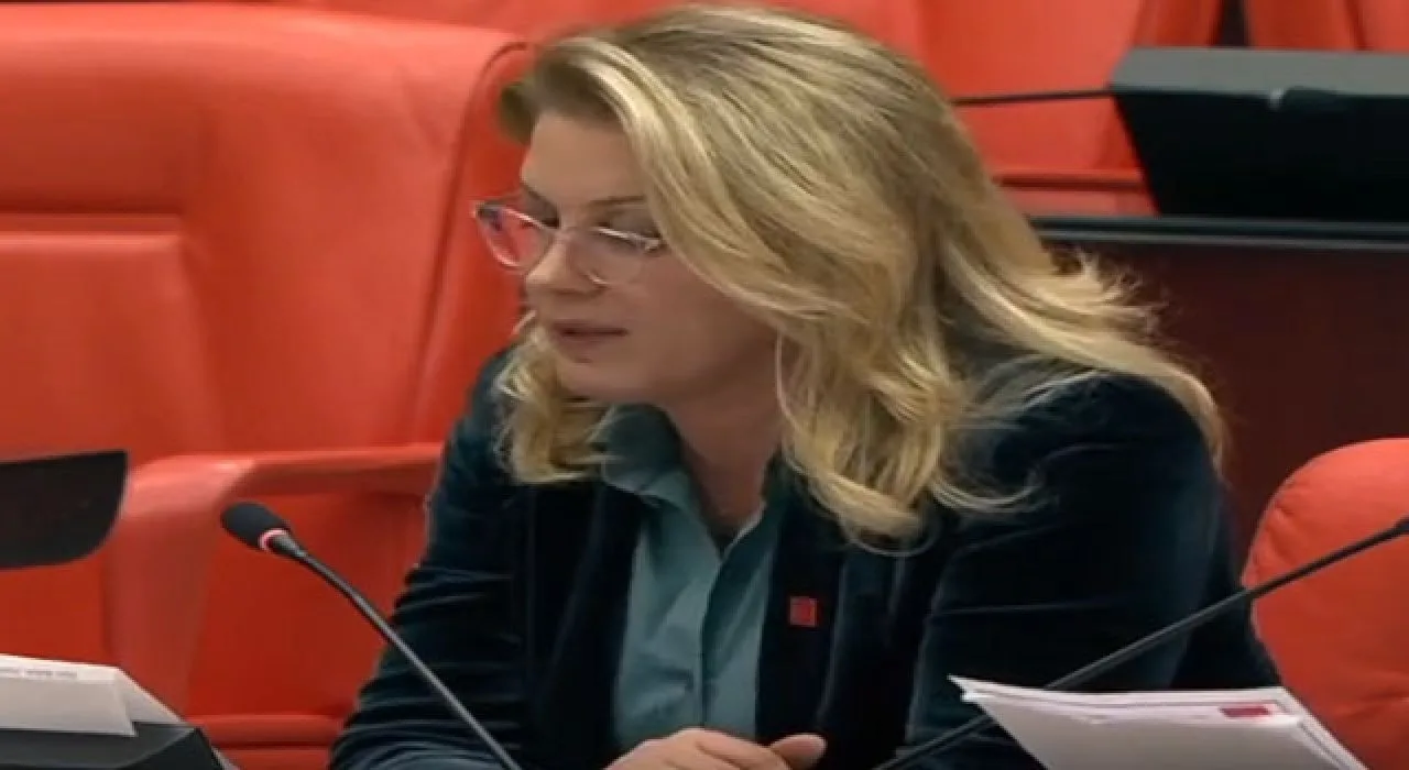 Chp’li Asu Kaya: Emekliler Yük Değil Onurdur