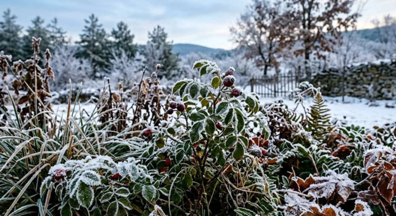 Osmaniye’de Zirai Don Alarmı Verildi