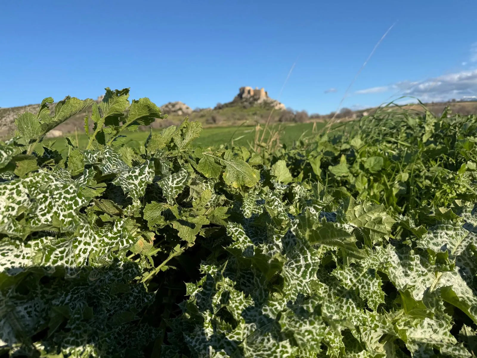 Whatsapp Image 2026 02 26 At 20.56.43