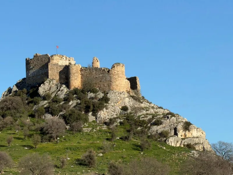 Whatsapp Image 2026 03 02 At 15.30.16