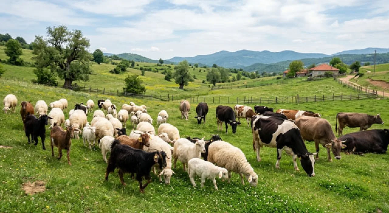 Whatsapp Image 2026 03 25 At 14.24.07