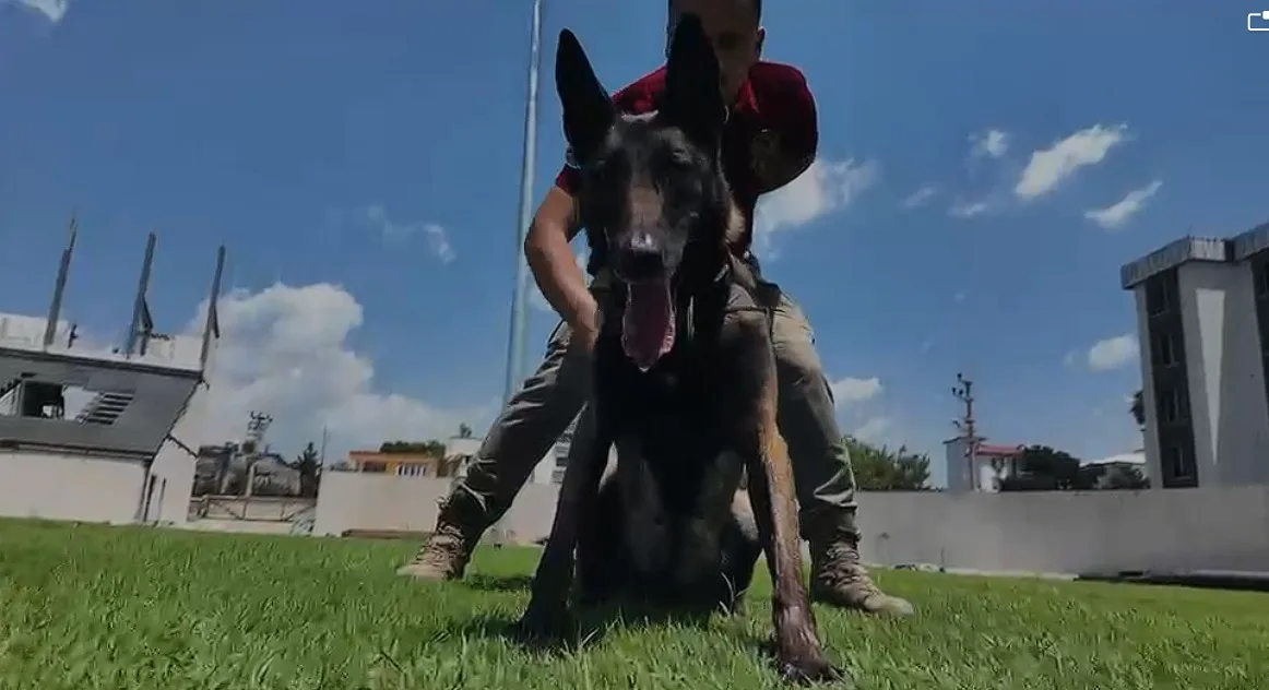 Osmaniye'Nin Narkotik Köpeği Jardi̇ Türkiye Birincisi