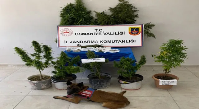 Osmaniye'De Bir Haftada 116 Asayiş Olayı: 77 Şüpheli Yakalandı