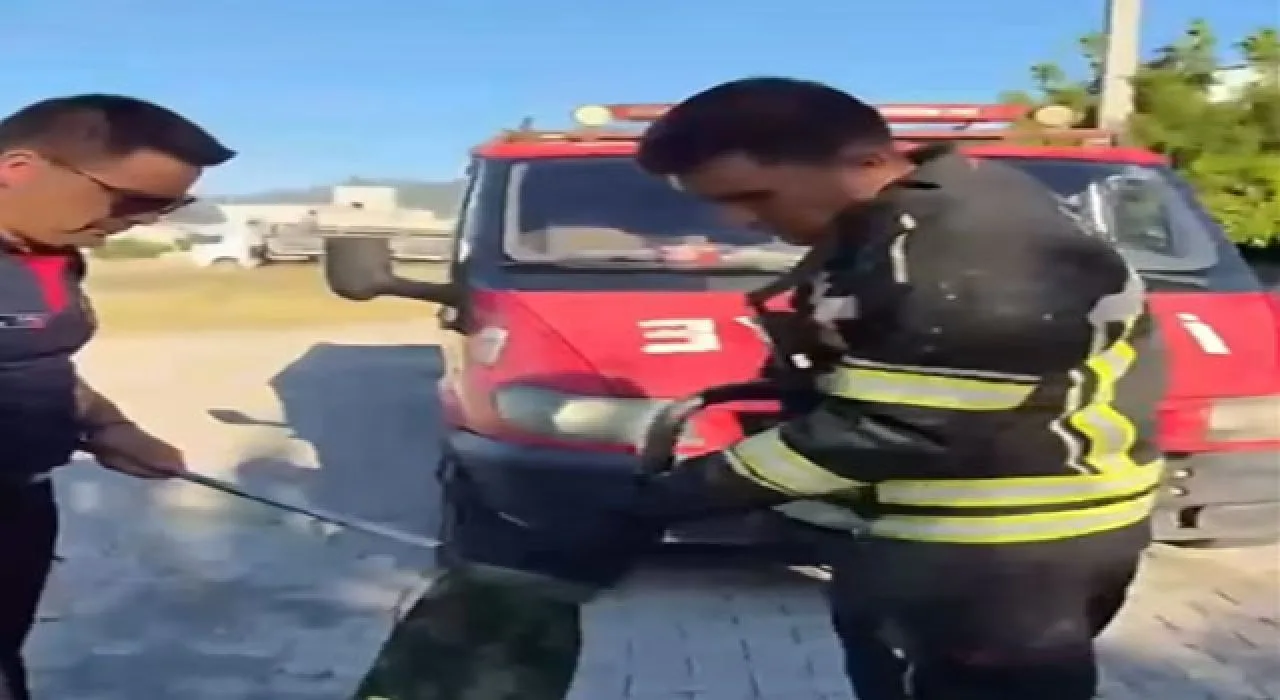 Osmaniye'De Eve Giren Kara Yılan Güvenle Yakalandı